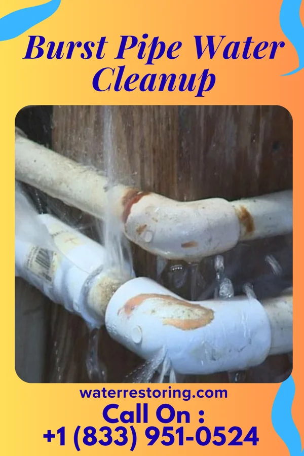 Burst Pipe Water Cleanup in Mainville, PA