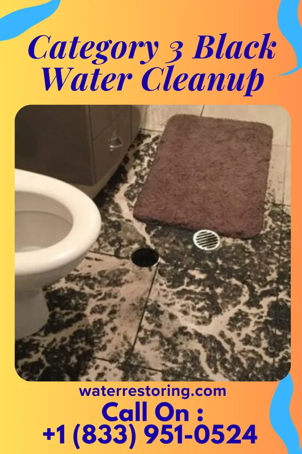 Category 3 Black Water Cleanup in Mainville, PA
