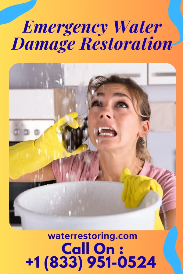 Emergency Water Damage Restoration in Mainville, PA