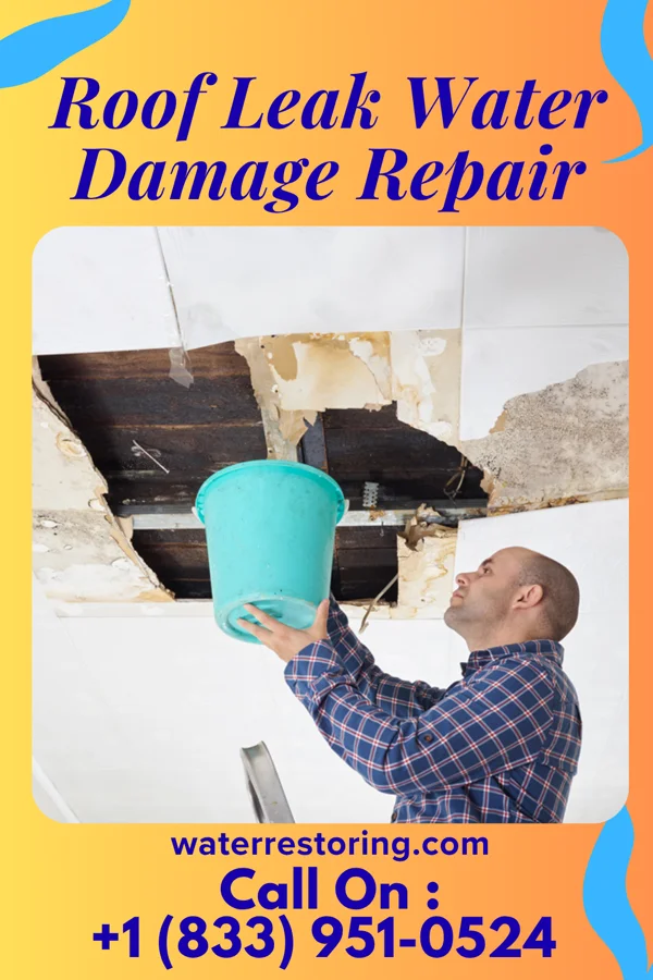 Roof Leak Water Damage Repair in Mainville, PA