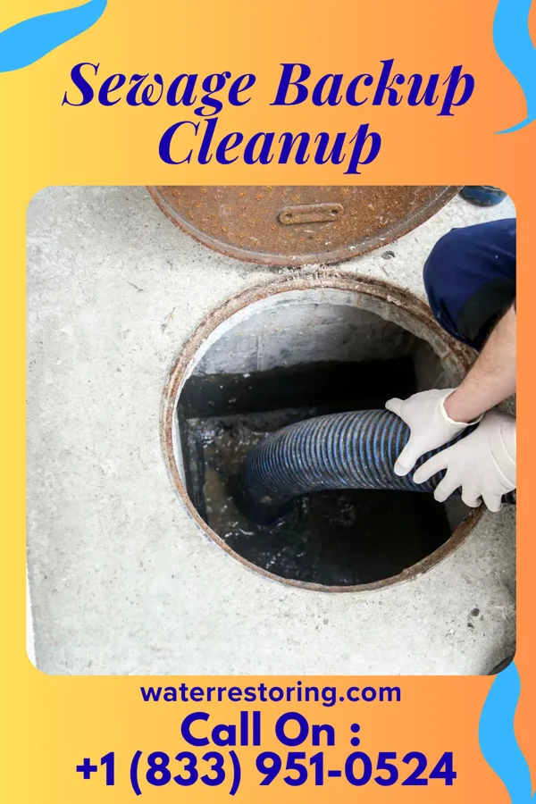 Sewage Backup Cleanup in Mainville, PA