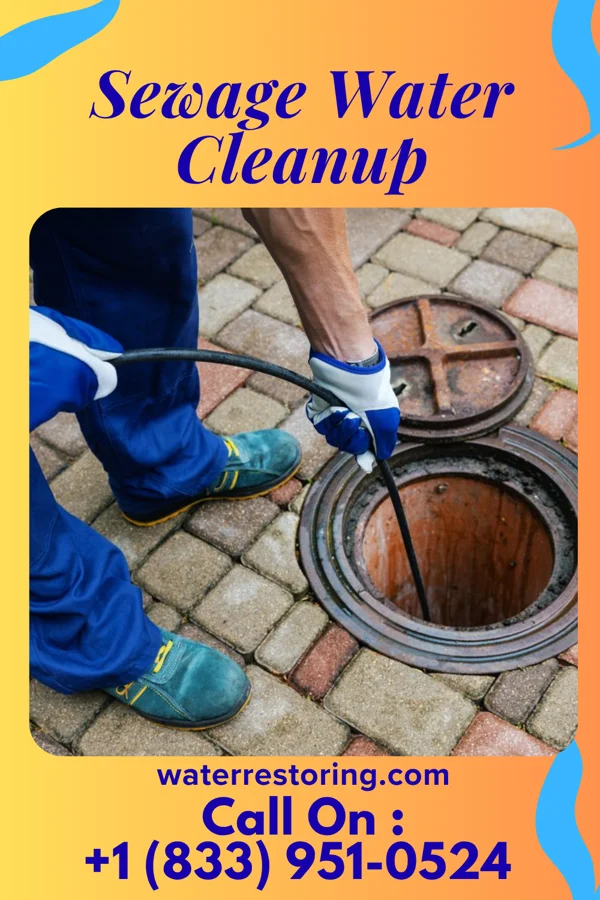Sewage Water Cleanup in Mainville, PA