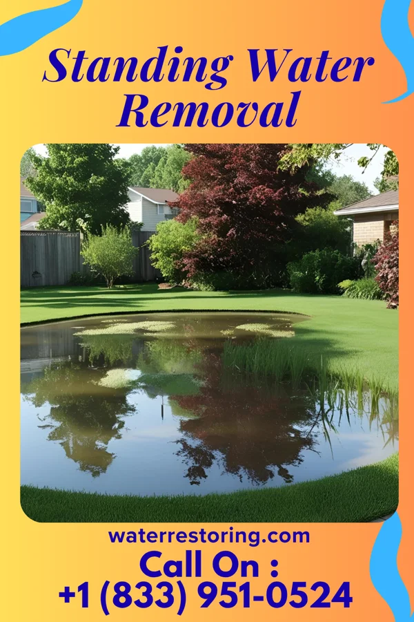 Standing Water Removal in Mainville, PA
